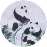 张玉杰 张玉杰